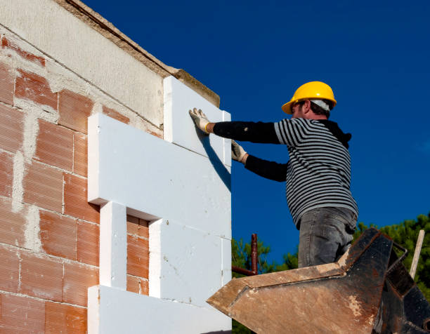 Best Fiberglass Insulation  in Lam, AR