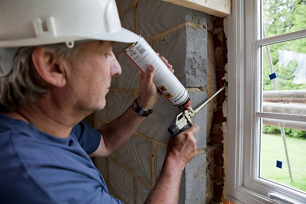 Best Professional Insulation Contractor  in Lam, AR
