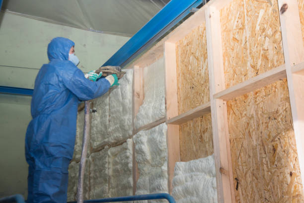 Best Garage Insulation Installation  in Lam, AR