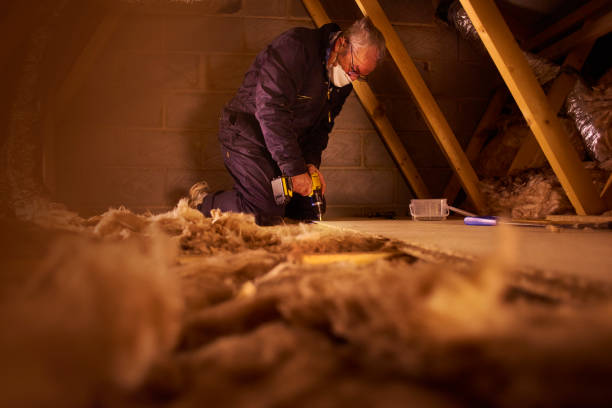 Best Affordable Insulation Services  in Lam, AR